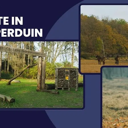 Fresh Modern Suite, Close To Hotspots Oss